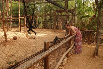 You could give the monkeys little candies which you could buy. One spider monkey didn't want to let go of my hand.