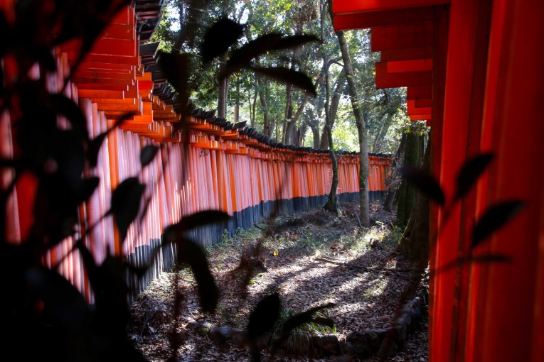 Fushimi inari torri gates