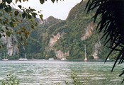 Ko Phi Phi view