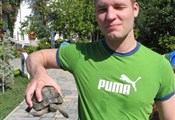 Gumbet timo met schildpad