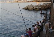 Beirut, vissen aan de boulevard