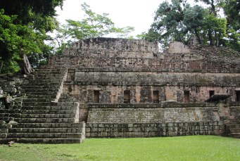 copan6