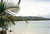 Cahuita strand