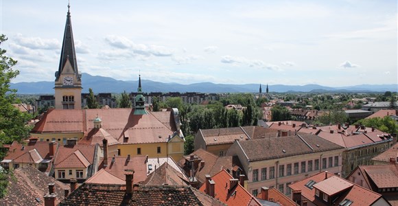 Ljubljana view