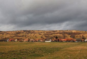 Along the way to bran low