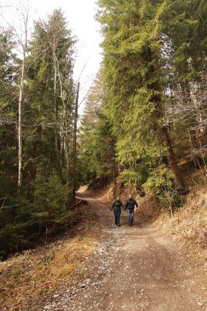 Sinaia hike