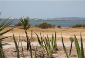 Praia-Farol
