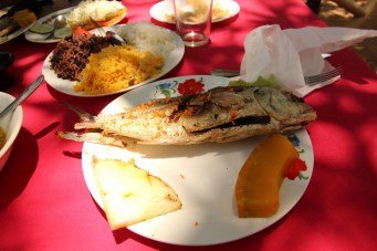 Fish we ordered after the hike in restaurant Balcon del Valle
