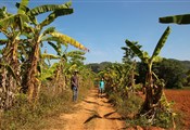 Viñales