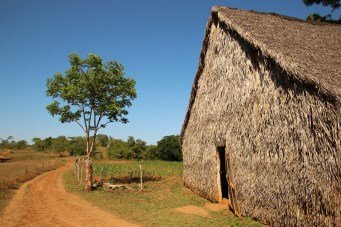 curning barn