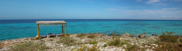 Punta Perdiz