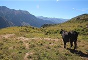 View Colca canyon