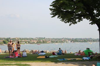 Sunbathing and enjoying the lake.