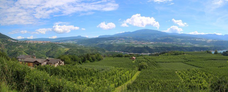 A viewpoint along the road