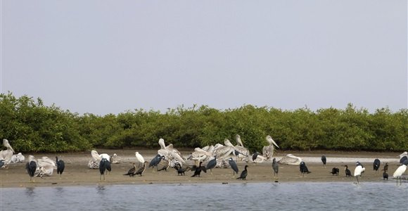 Senegal