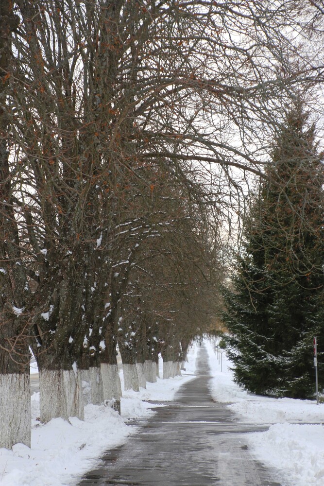 A road in Chernobyl