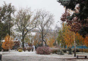 Park with colorful leaves