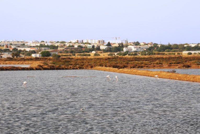 Tavira