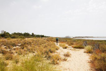 Hiking on a path at Rio Formosa national park