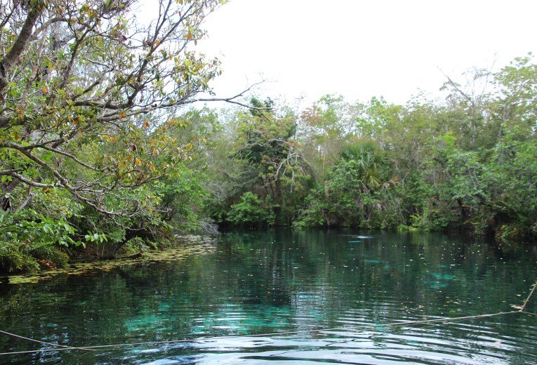 Aktun cenote