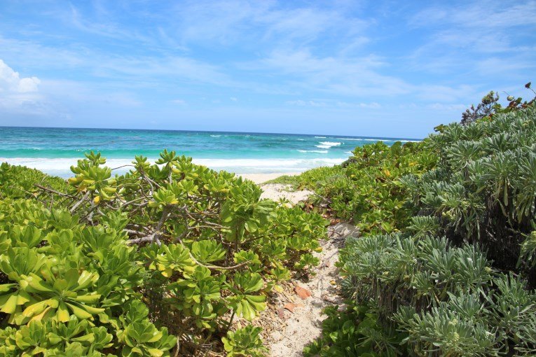 Secret beach Akumal