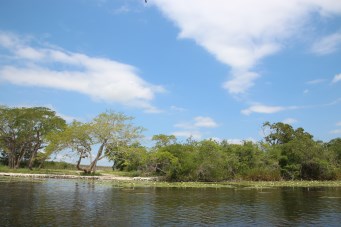 Boat ride