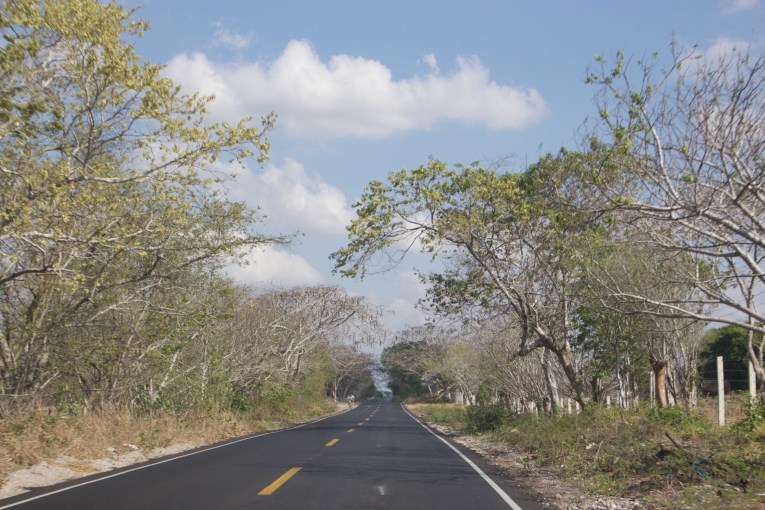 Road to Rio Lagartos