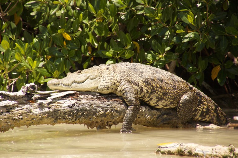 lazy sunbathing