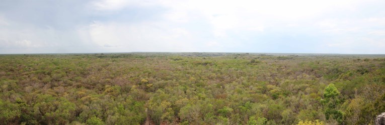 View from Coba