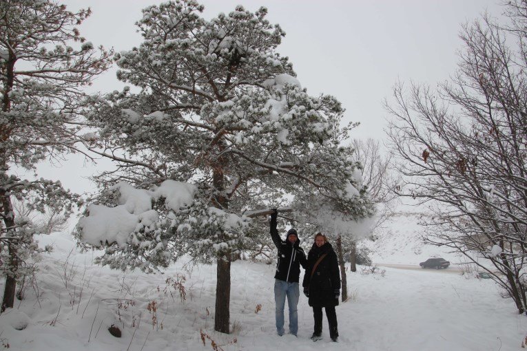 A quick stop along the road. Snow fun!