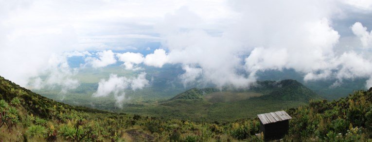 view with toilet cabin