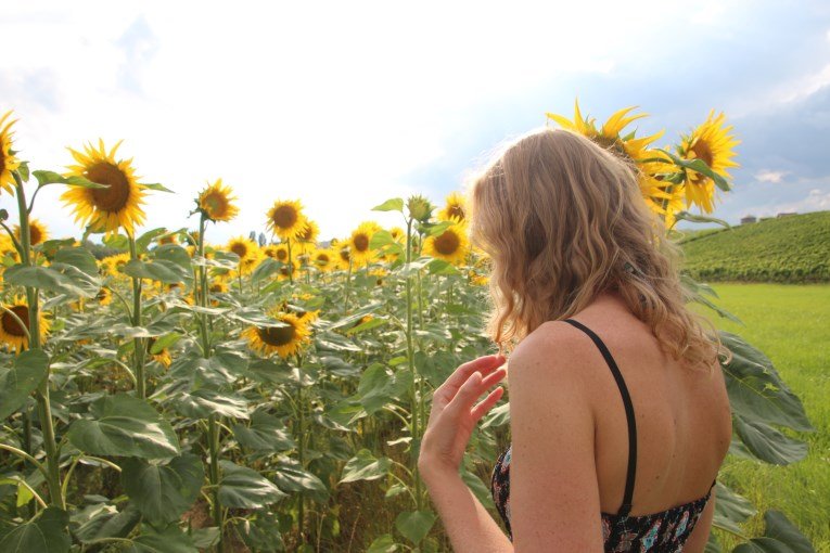 The sunflower field close to Geneva, made me really happy!