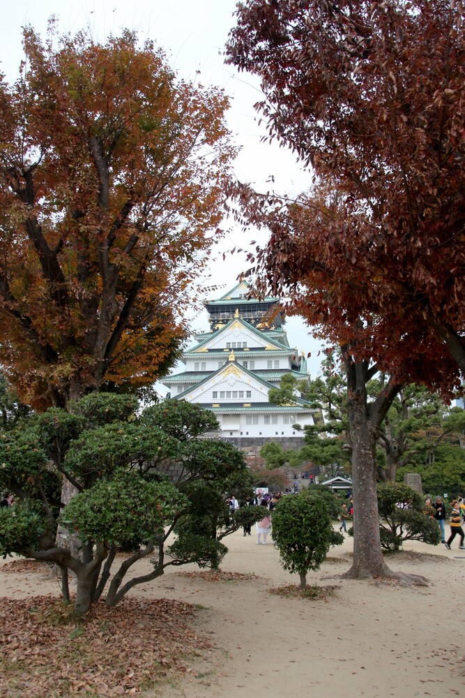 Osaka castle