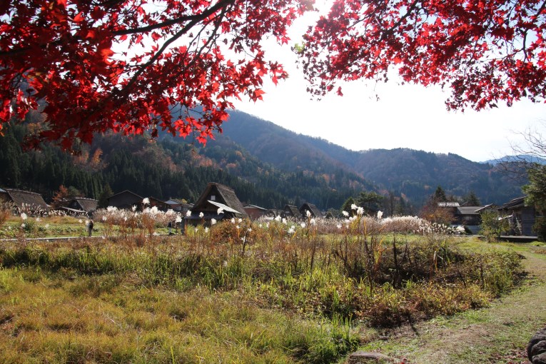 Shirakawago