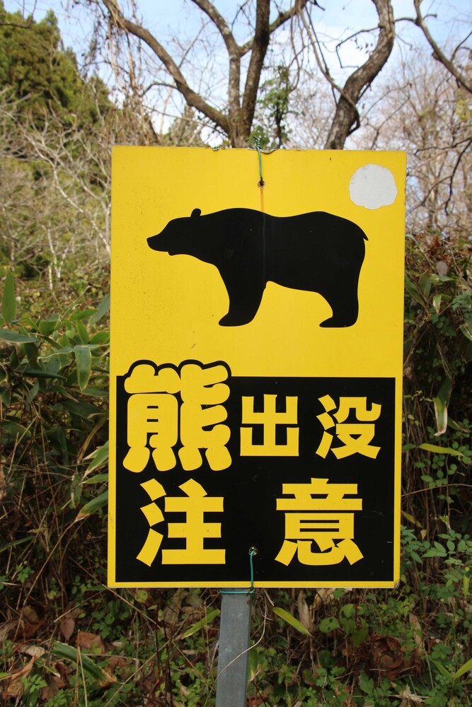 Watch out for bears!