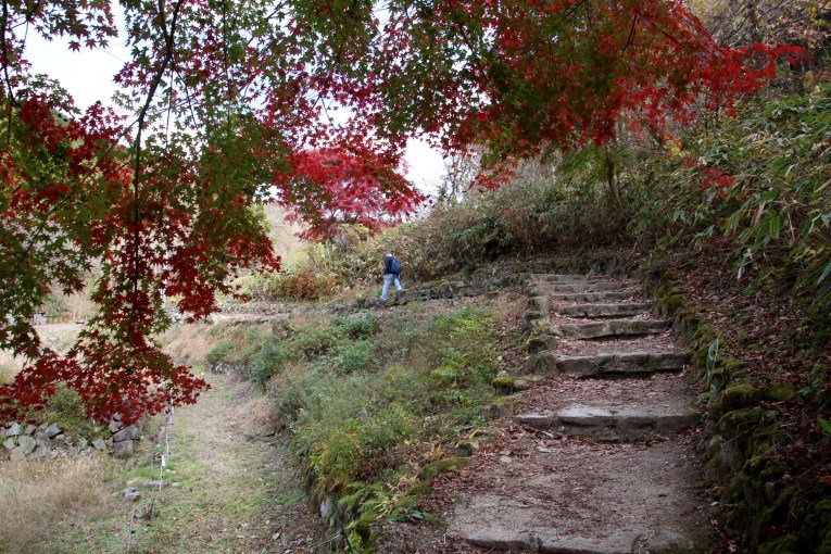 Paved path in lush Autumn colors