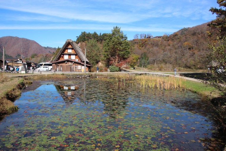 Traditional house