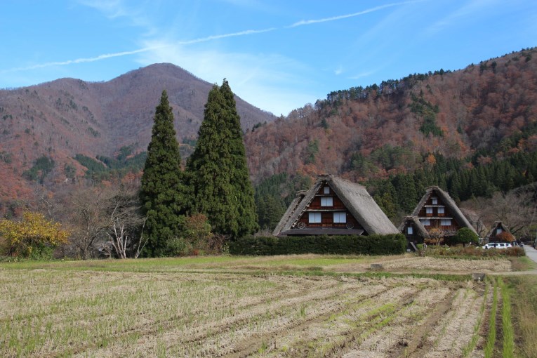 Traditional houses