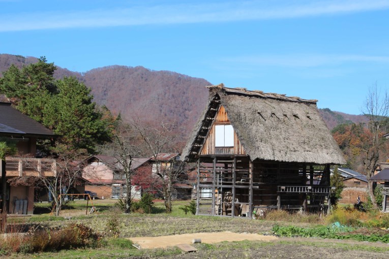 Traditional house