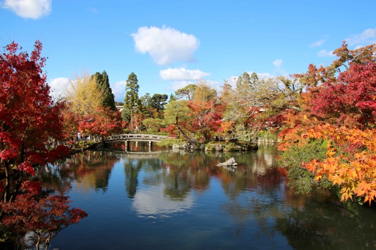 Garden Eikando temple