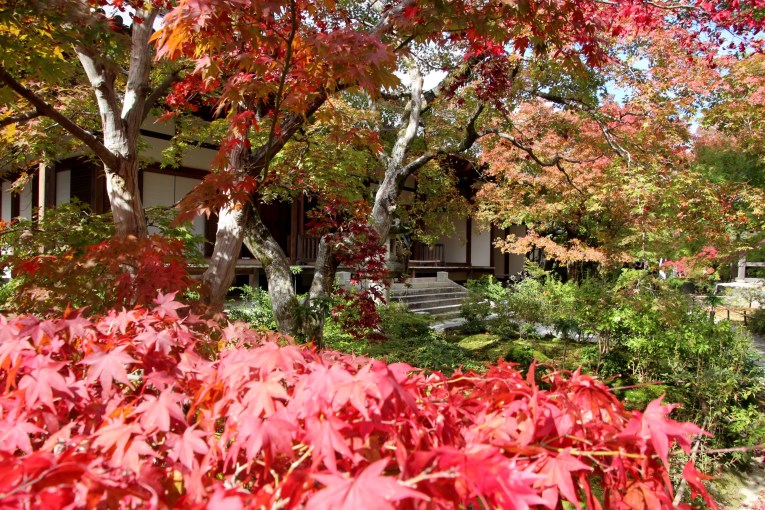 Jojakkoji temple