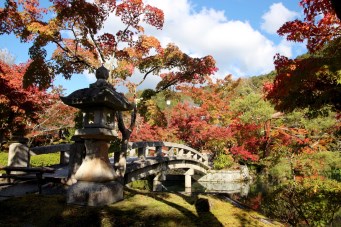 Garden Eikando temple