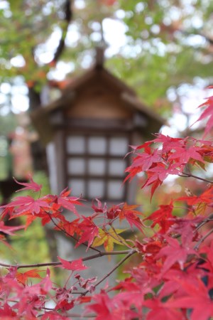 Jojakkoji temple