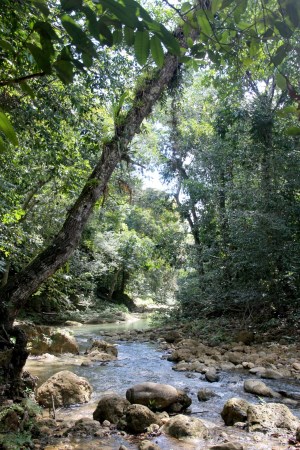 Hiking to El Limon waterfall