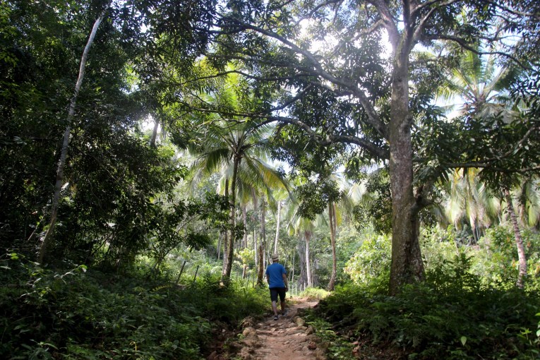 Hiking to El Limon waterfall