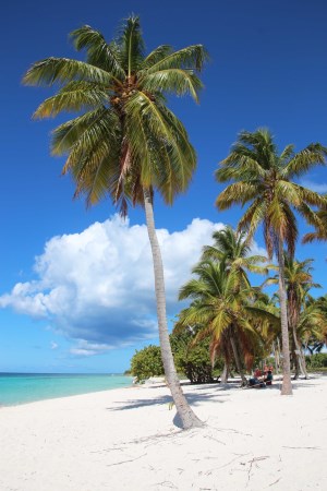 Beautiful beach!