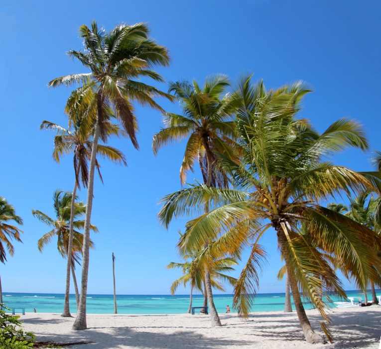 Saona beach