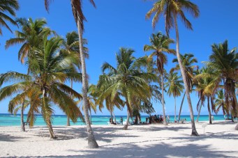 Saona island