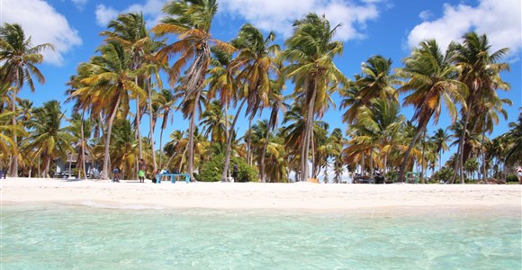 Saona island