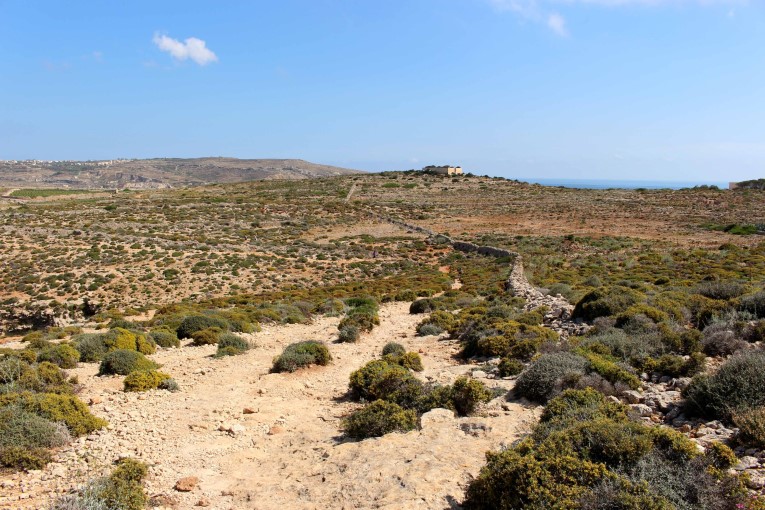 Comino island